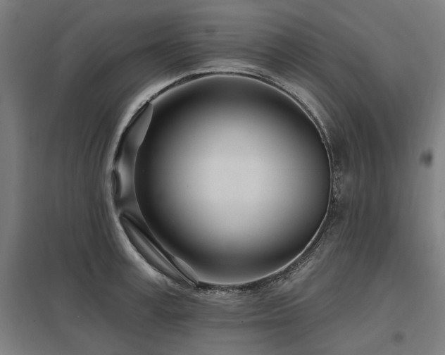 X0000098050995200803281450