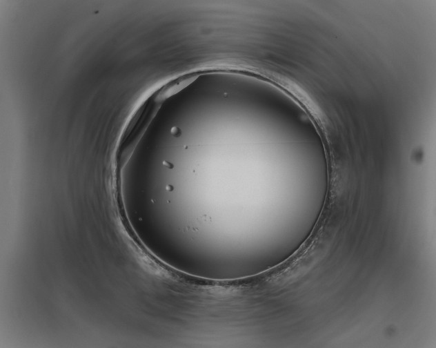 X0000098050996200803281450