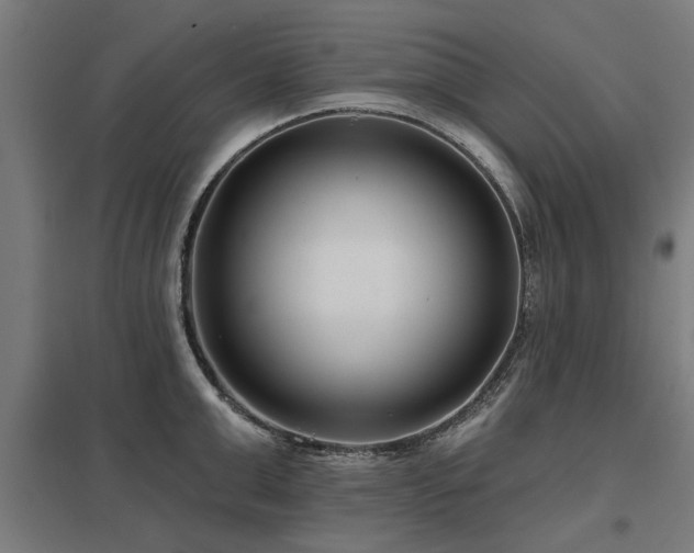 X0000098050999200803281450