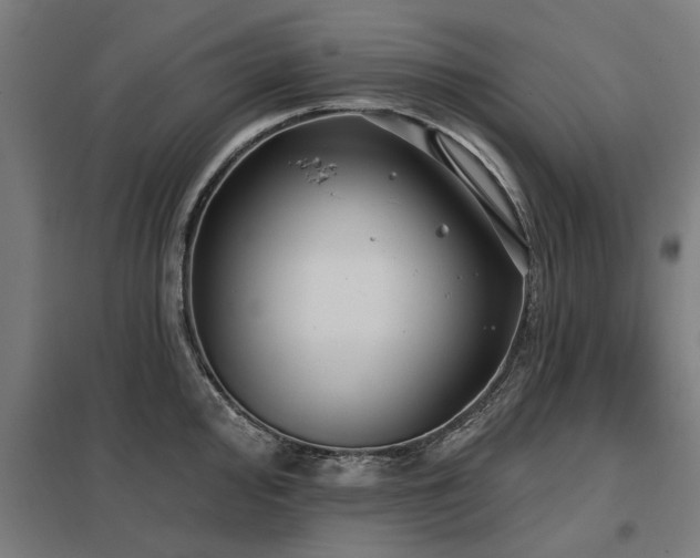 X0000098051000200803281450