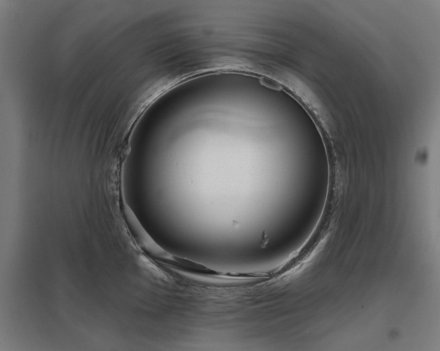X0000098051001200803281450