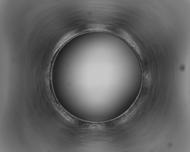 X0000098051002200803281450