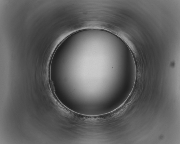 X0000098051004200803281450