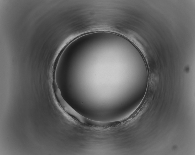 X0000098051005200803281450