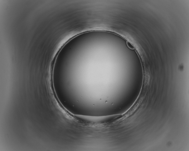X0000098051006200803281450