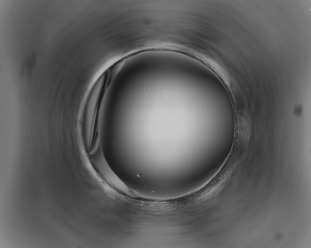 X0000098051007200803281450