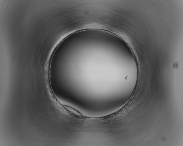 X0000098051008200803281450