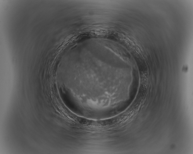 X0000098051009200803281450