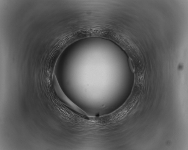 X0000098051010200803281450
