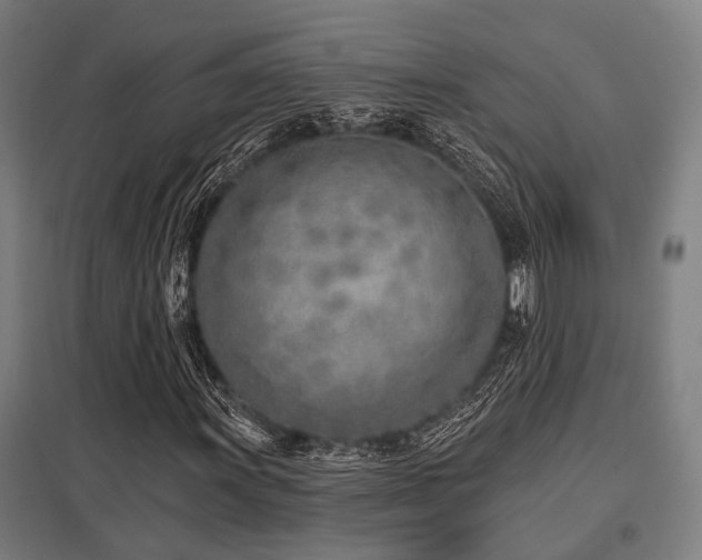 X0000098051011200803281450