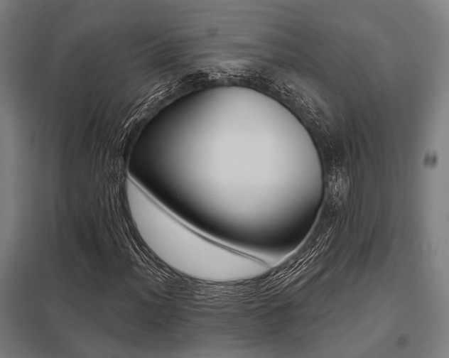 X0000098051012200803281450