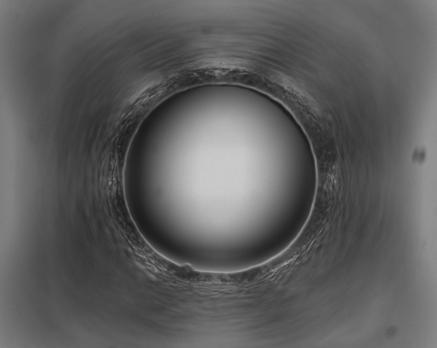 X0000098051014200803281450