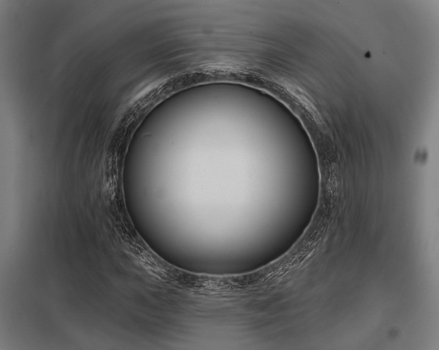X0000098051015200803281450