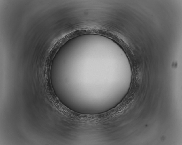 X0000098051016200803281450