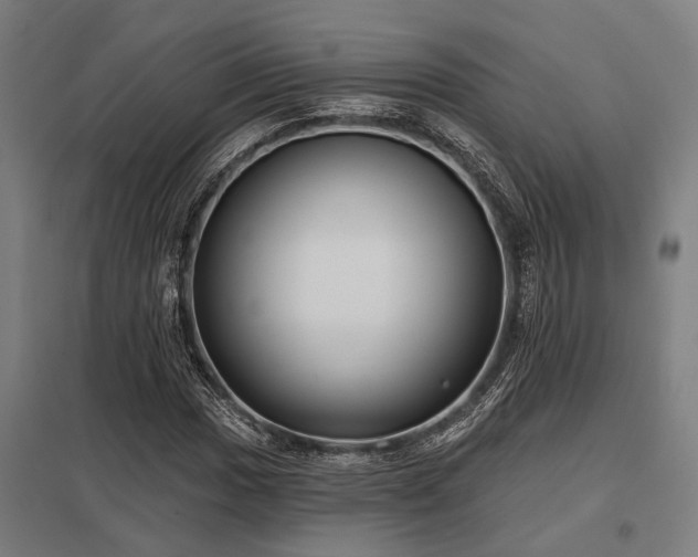 X0000098051017200803281450
