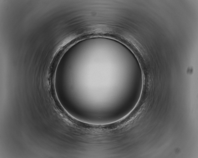 X0000098051018200803281450