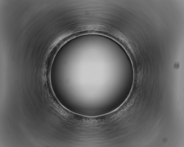 X0000098051019200803281450