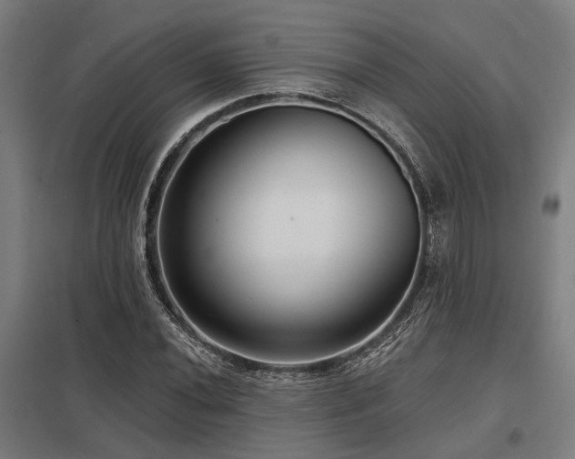 X0000098051020200803281450