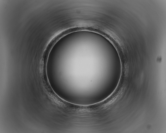 X0000098051021200803281450