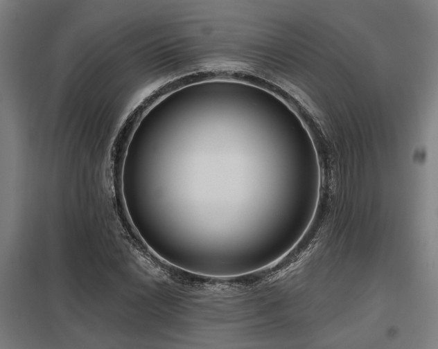 X0000098051022200803281450