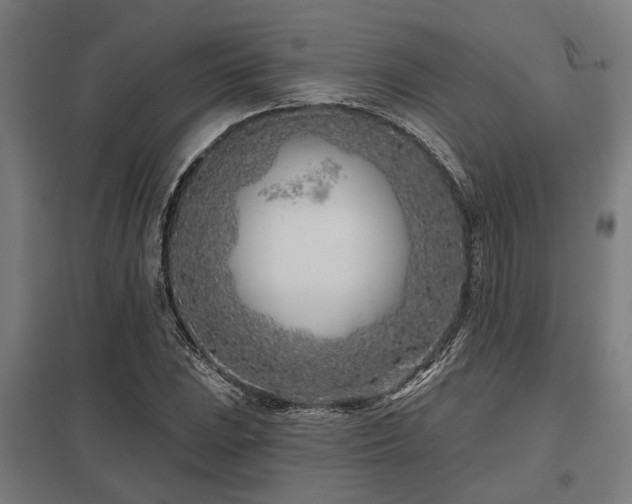X0000098051023200803281450