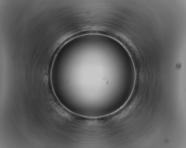 X0000098051025200803281450