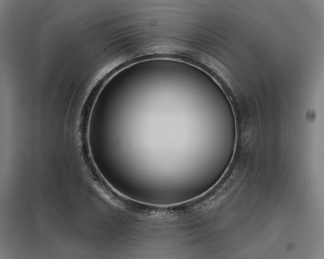 X0000098051026200803281450