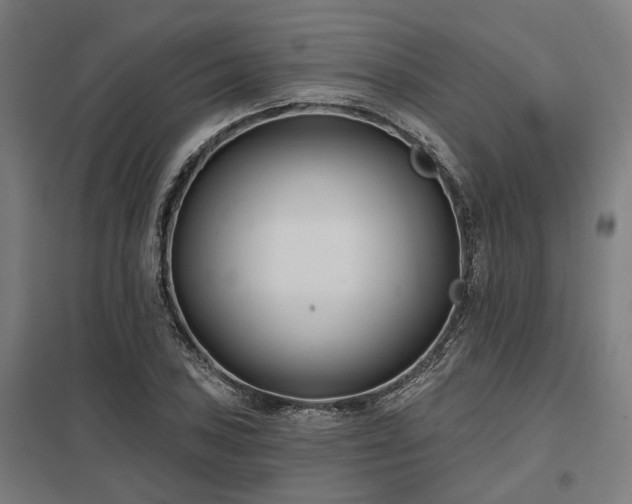 X0000098051027200803281450