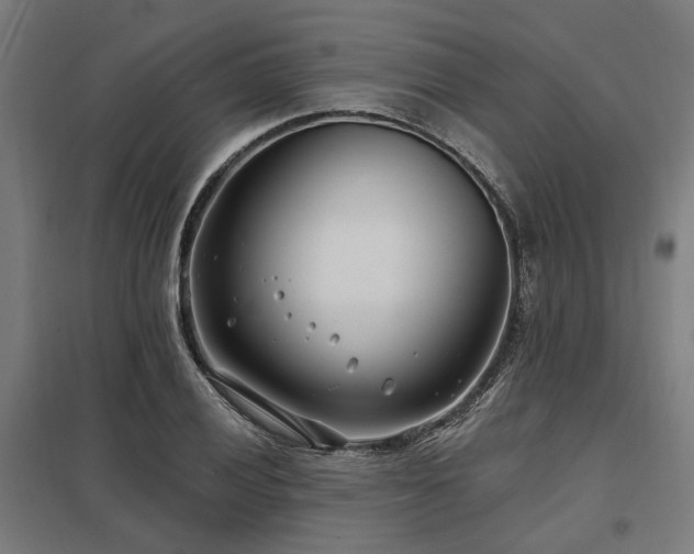 X0000098051028200803281450
