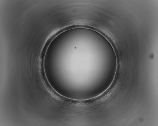 X0000098051029200803281450