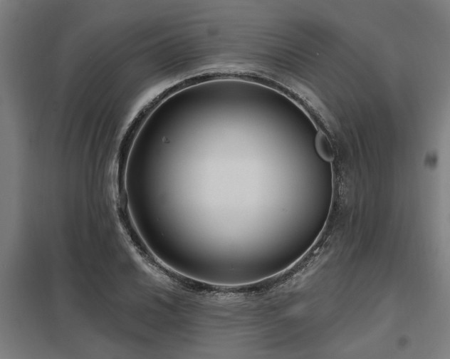 X0000098051030200803281450