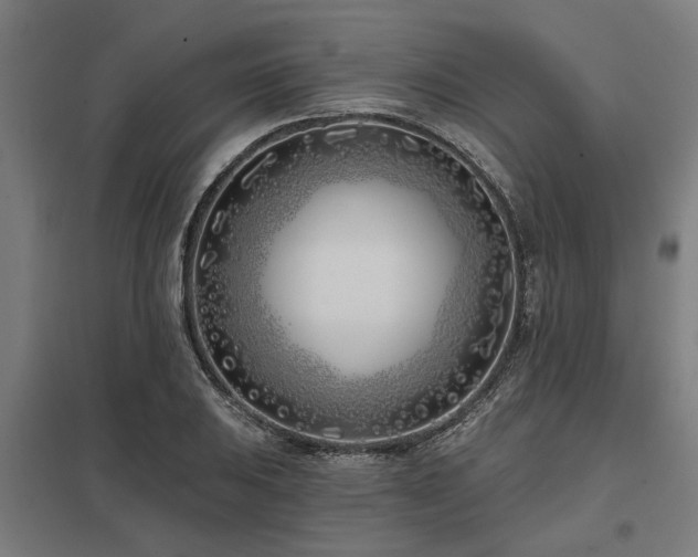 X0000098051031200803281450