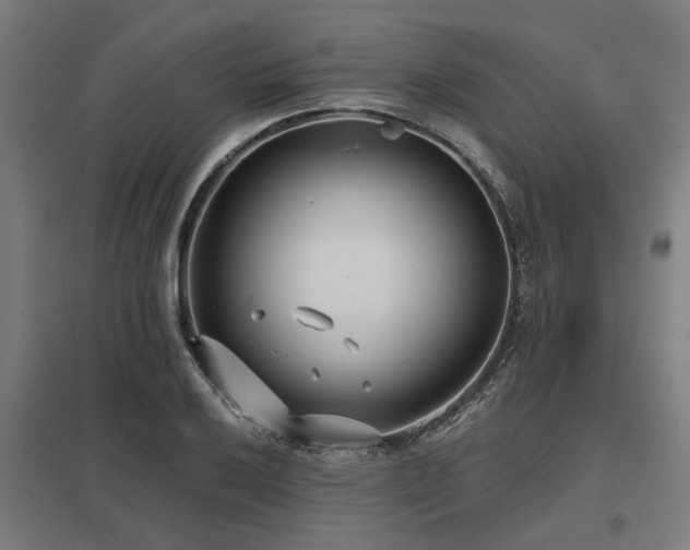 X0000098051032200803281450