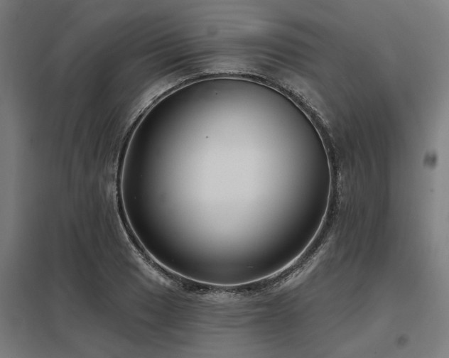 X0000098051033200803281450
