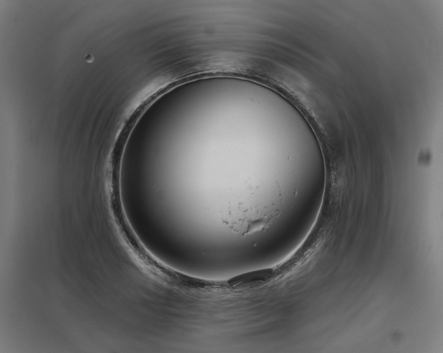 X0000098051034200803281450