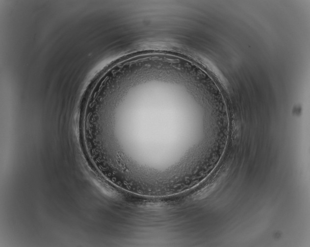X0000098051035200803281450
