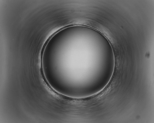 X0000098051036200803281450