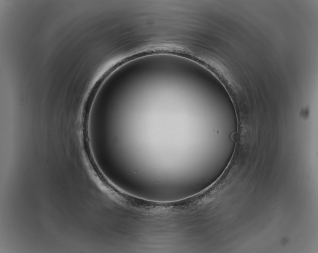 X0000098051038200803281450