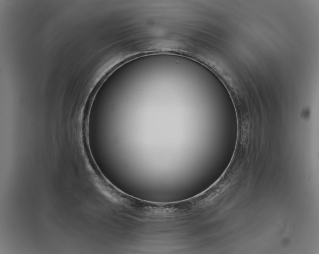 X0000098051039200803281450