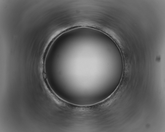 X0000098051040200803281450