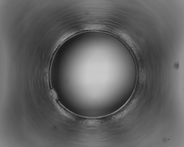 X0000098051041200803281450