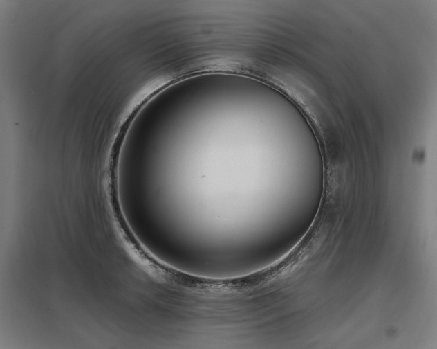 X0000098051042200803281450