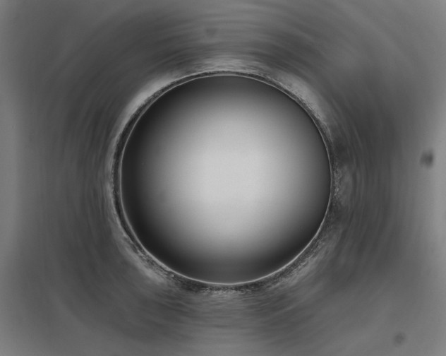 X0000098051043200803281450