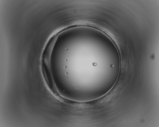 X0000098051045200803281450