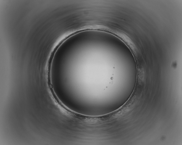 X0000098051046200803281450