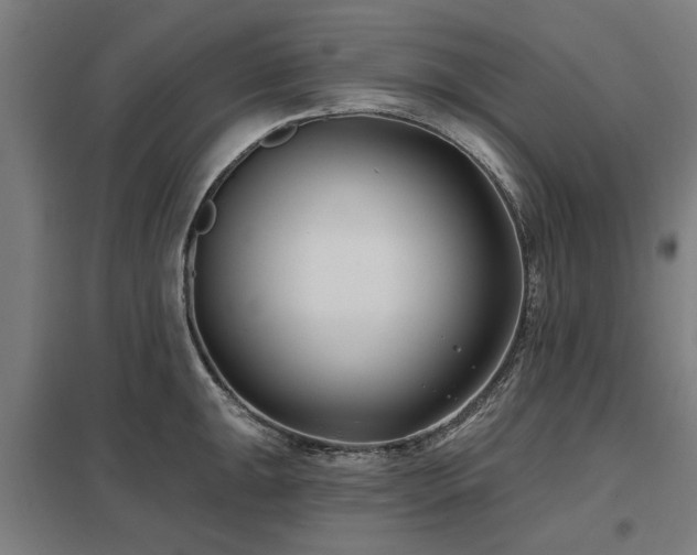 X0000098051047200803281450