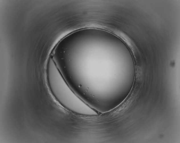 X0000098051048200803281450
