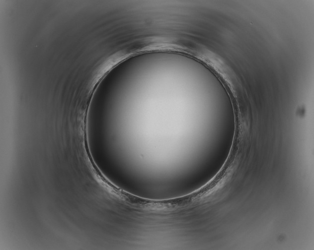 X0000098051049200803281450