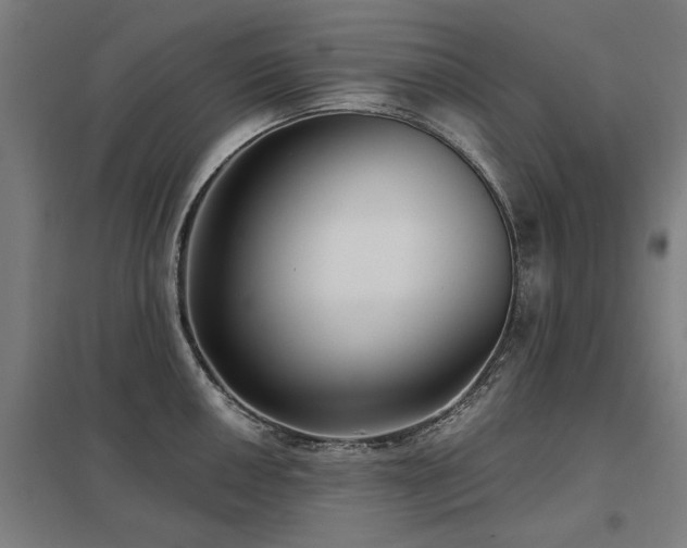 X0000098051050200803281450
