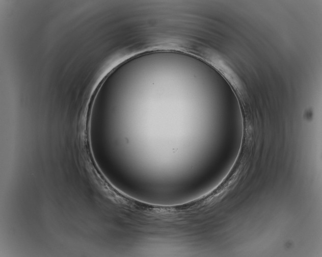 X0000098051052200803281450